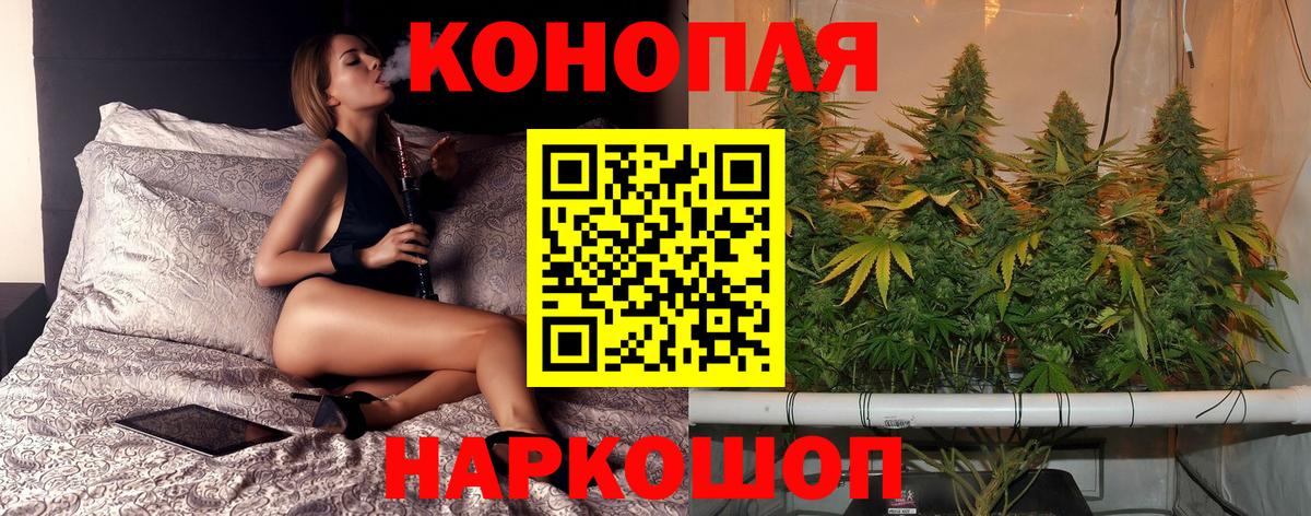 Каннабис планчик Ржев